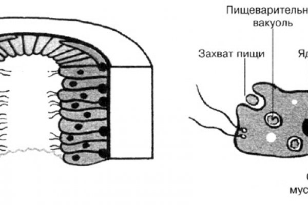 Что такое кракен сайт